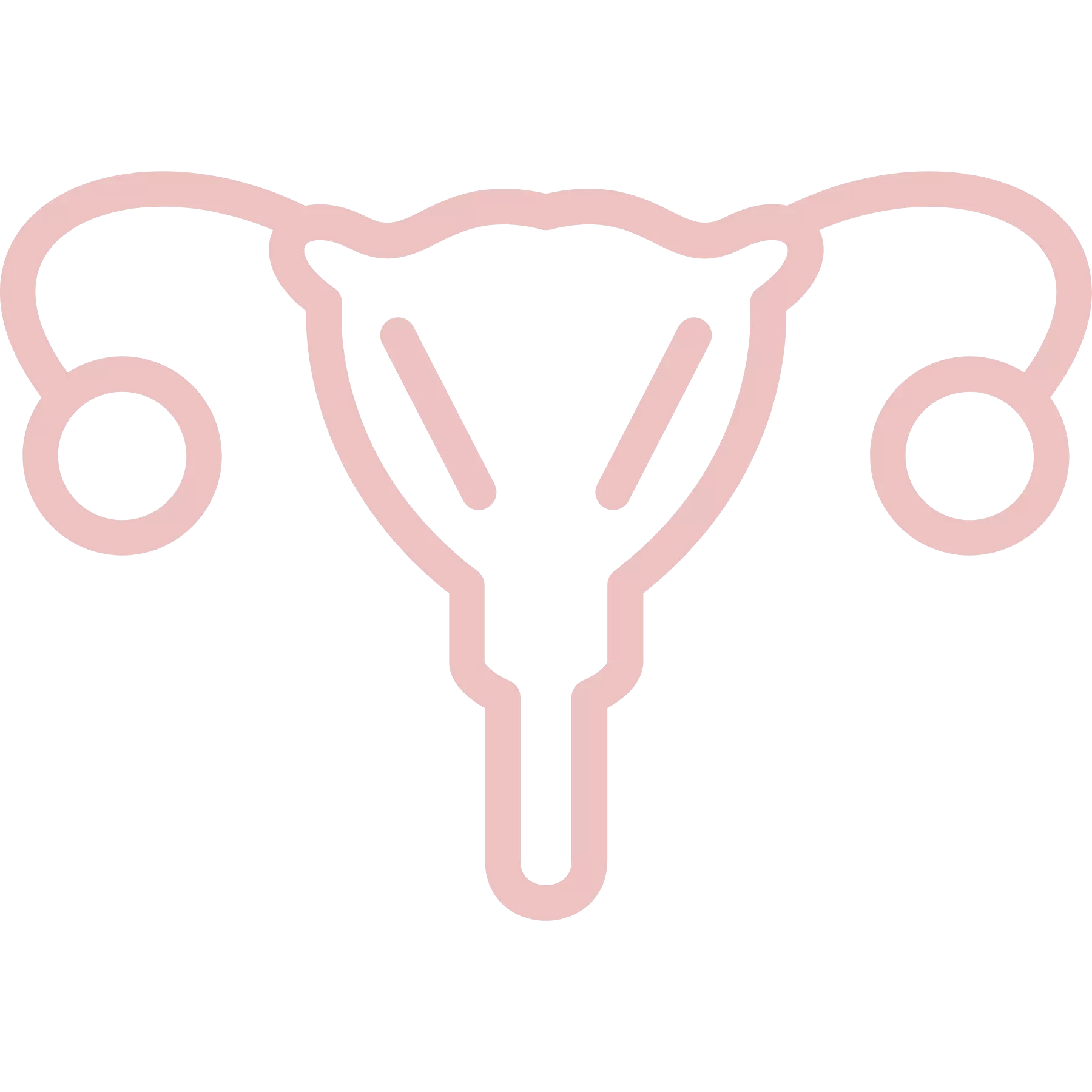 涵恩婦產科診所 診療項目 子宮與卵巢