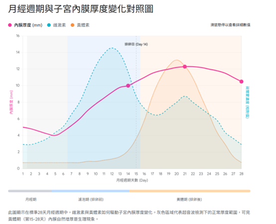 子宮內膜厚度週期性變化濾泡期增生期黃體期超音波檢查時機